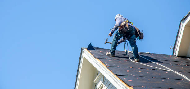 Best Roof Gutter Cleaning  in East Rochester, NY